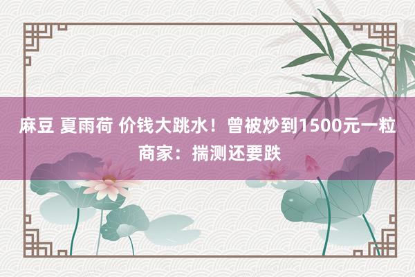 麻豆 夏雨荷 价钱大跳水！曾被炒到1500元一粒 商家：揣测还要跌