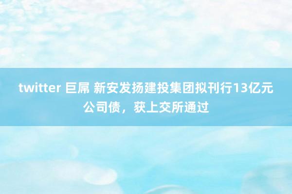 twitter 巨屌 新安发扬建投集团拟刊行13亿元公司债，获上交所通过
