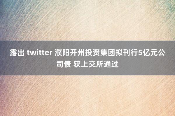 露出 twitter 濮阳开州投资集团拟刊行5亿元公司债 获上交所通过