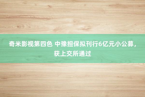 奇米影视第四色 中豫担保拟刊行6亿元小公募，获上交所通过