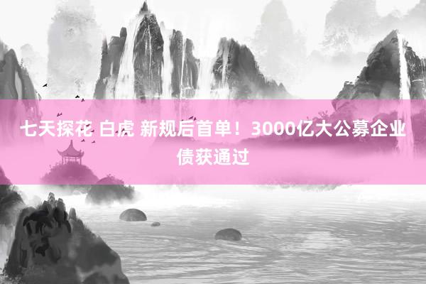 七天探花 白虎 新规后首单！3000亿大公募企业债获通过