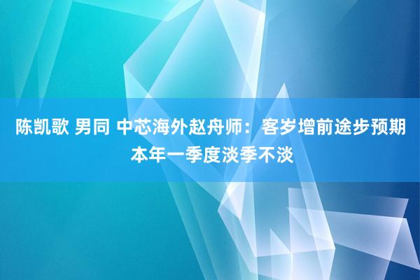 陈凯歌 男同 中芯海外赵舟师：客岁增前途步预期 本年一季度淡季不淡