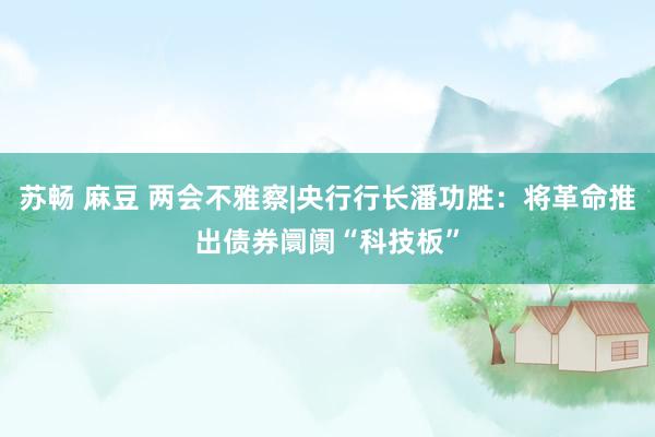 苏畅 麻豆 两会不雅察|央行行长潘功胜：将革命推出债券阛阓“科技板”
